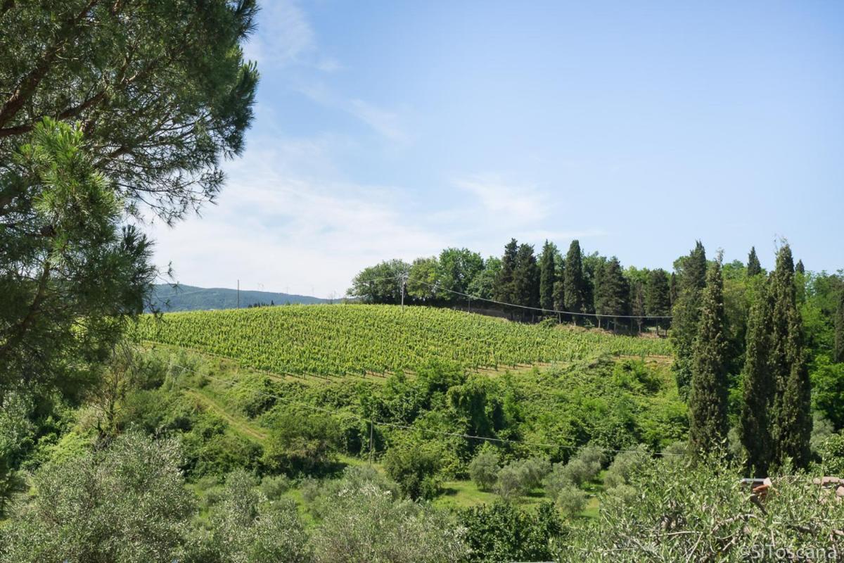 Agriturismo Terre Di Toscana Terricciola Eksteriør bilde