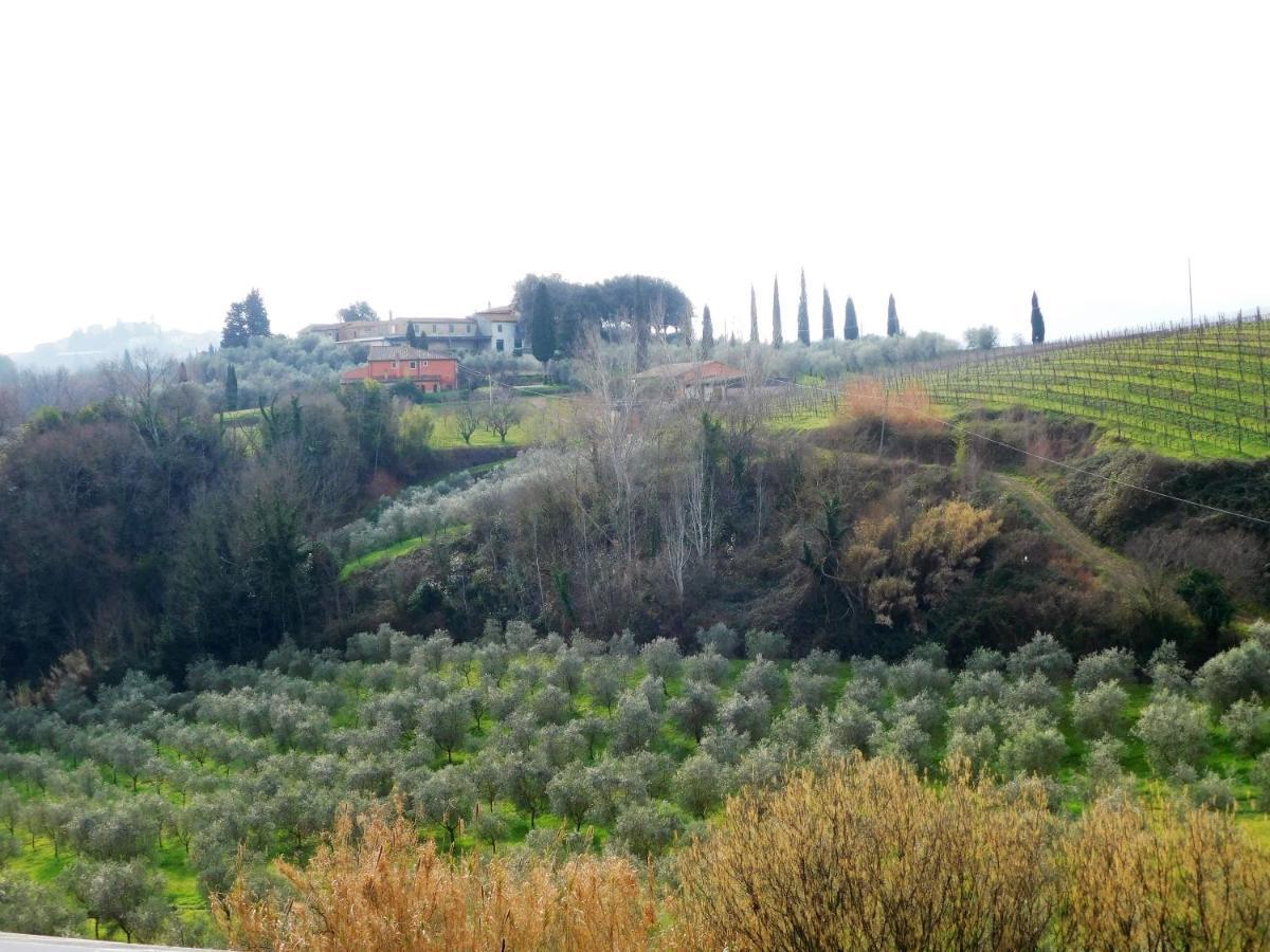 Agriturismo Terre Di Toscana Terricciola Eksteriør bilde