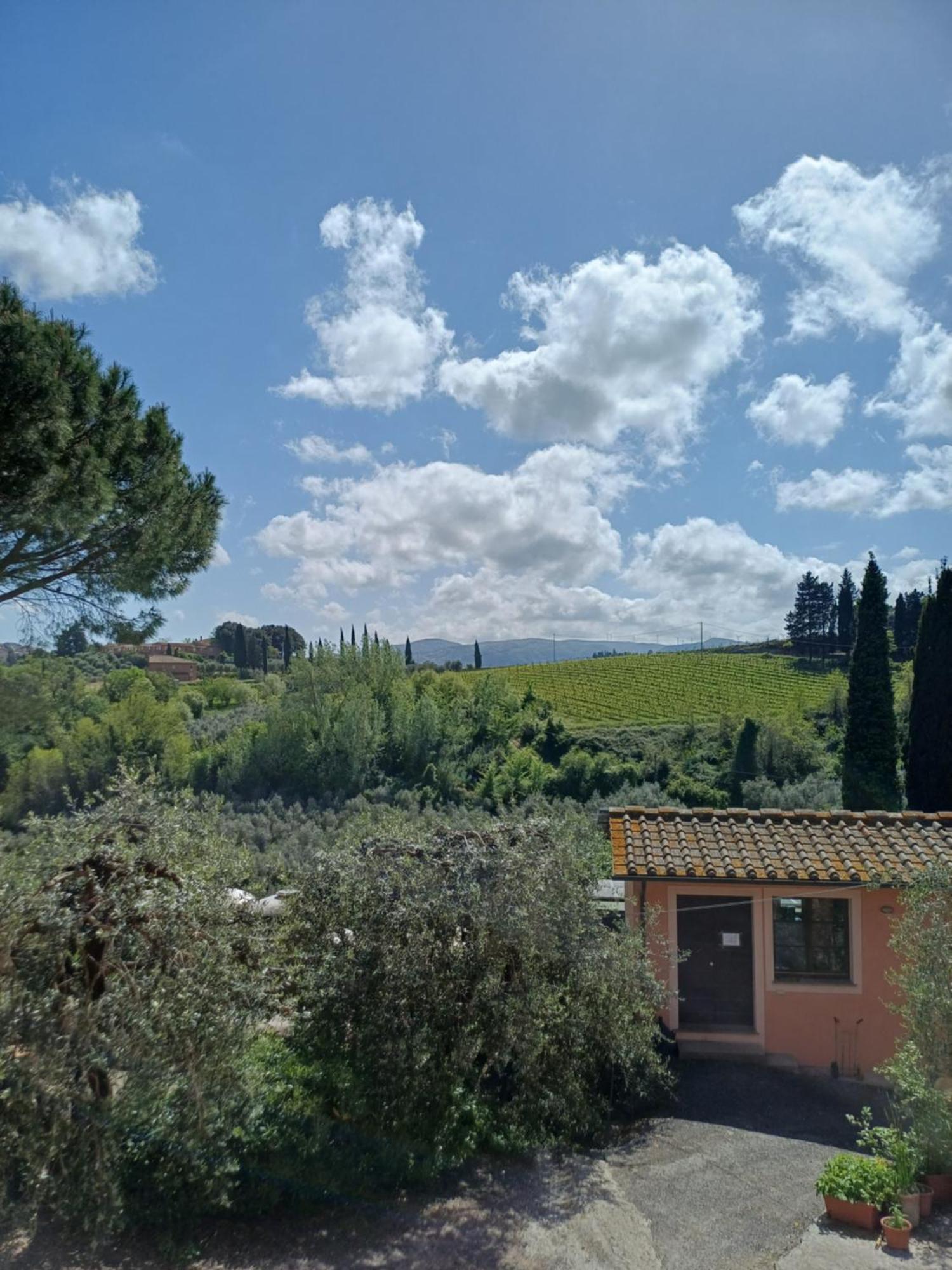 Agriturismo Terre Di Toscana Terricciola Eksteriør bilde